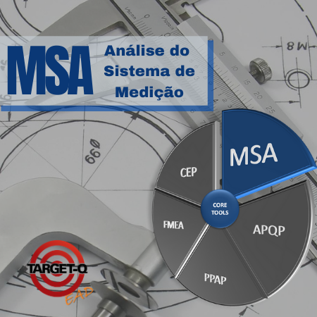 MSA online ead.target-q.com